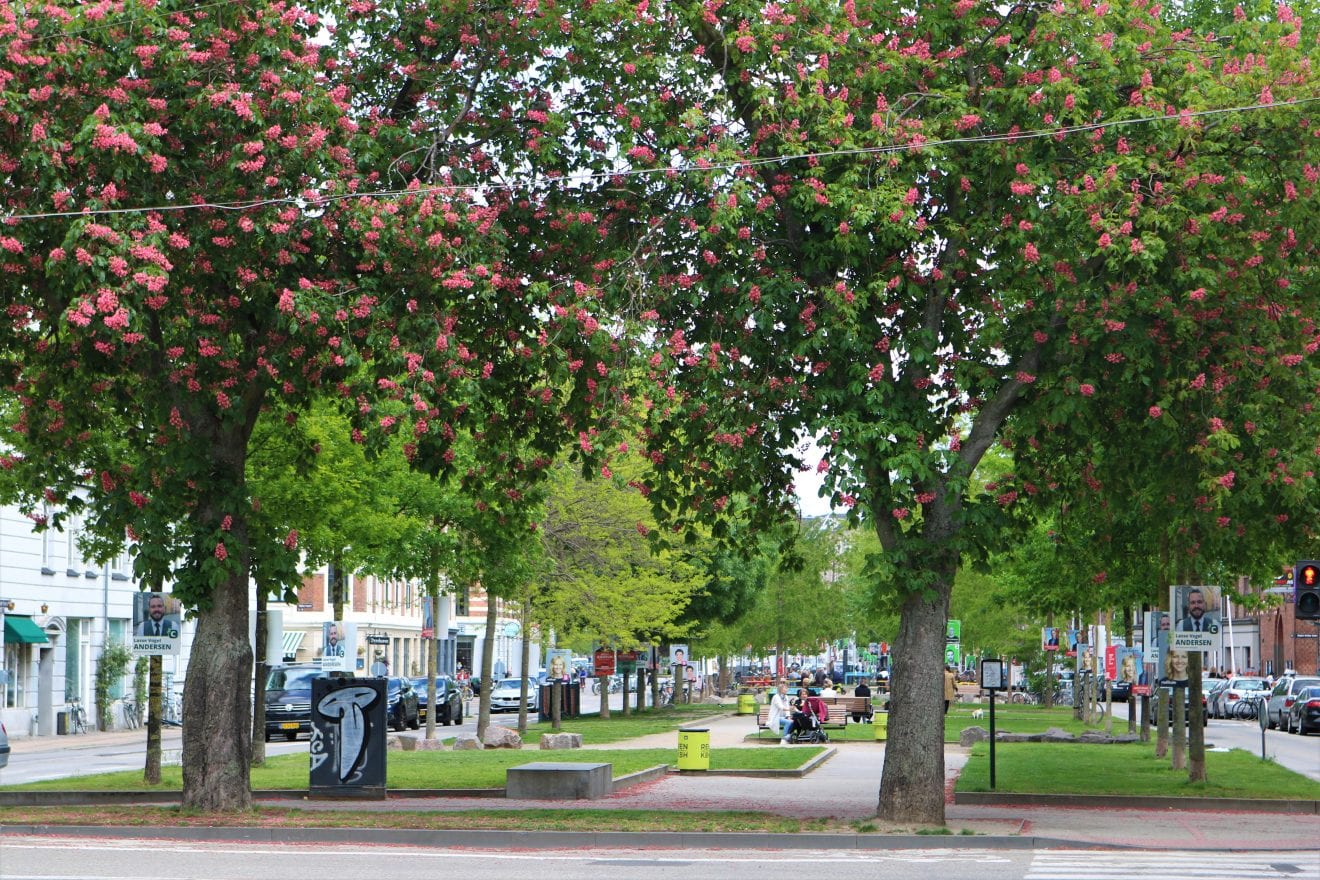 Har du en ide til flere træer og bænke i en Vesterbro-gade?