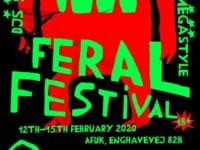 Foto: Feral festival