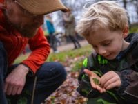 Stor succes for City Nature Challenge