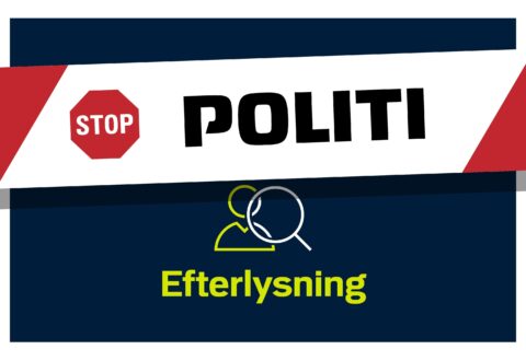 Politiet efterlyser vidne til voldtægt af 16 årig pige i tog