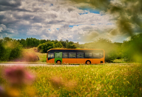 Copyright: Movia