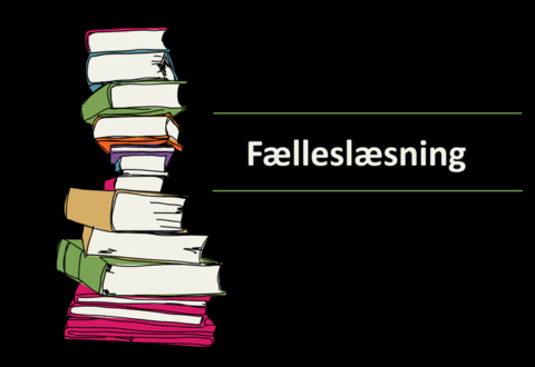 Guidet fælleslæsning